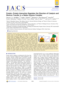 Protein–Protein Interaction Regulates the Direction of Catalysis and