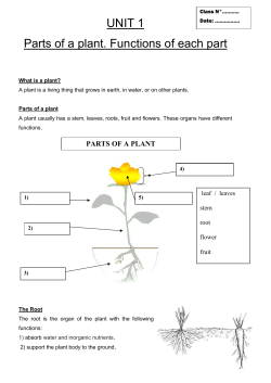 parts of a plant