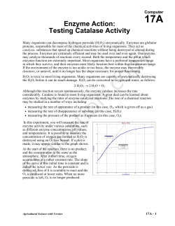 Enzyme Action: Testing Catalase Activity
