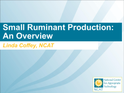 Small Ruminant Production&mdash;An Overview