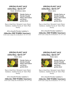 plant sale - Tampa Bay Times