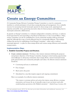 Create an Energy Committee