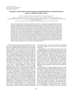 Phylogeny and Divergence-Date Estimates of Rapid