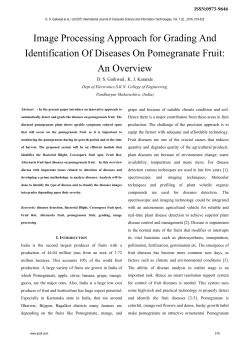Image Processing Approach for Grading And Identification Of