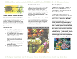 Tierra Garden Organic Produce