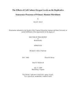 The Effects of Cell Culture Oxygen Levels on the Replicative