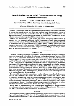 Active Role of Oxygen and NADH Oxidase in Growth and Energy