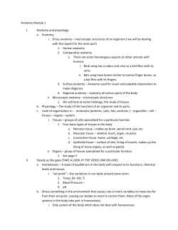 Anatomy Module 1 Anatomy and physiology Anatomy Gross