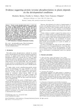 Evidence suggesting protein tyrosine phosphorylation in plants