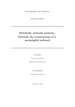 Metabolic network analysis - The Master`s in proteomics and
