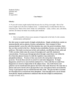 File - Stephanie Hickey Nutrition Portfolio