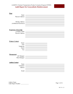 REGEO Mini-Audit Report Form 2-2012 11-27-12