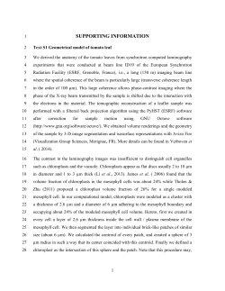 supporting information