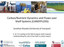 Carbon/Nutrient Dynamics and Fluxes over Shelf Systems