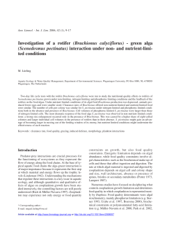 Investigation of a rotifer (Brachionus calyciflorus)