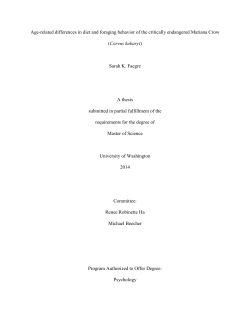 Age-related differences in diet and foraging behavior of the critically