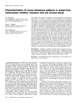 Characterization of Cross-Resistance Patterns in Acetyl
