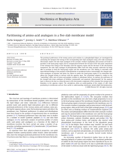 Partitioning of amino-acid analogues in a five