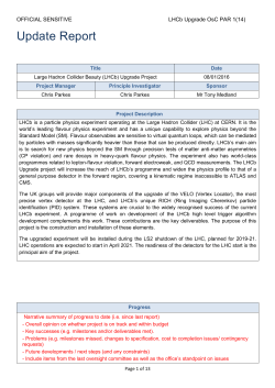 Project Report Template (word)