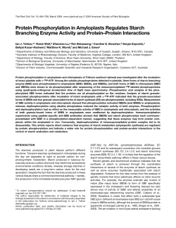 Protein Phosphorylation in Amyloplasts Regulates