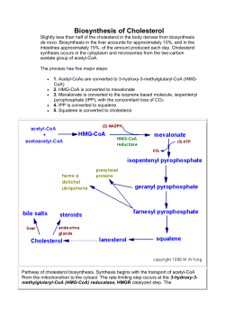 Biosynthesis of Cholesterol