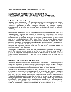 Existence of Phytophthora cinnamomi as Chlamydospores and