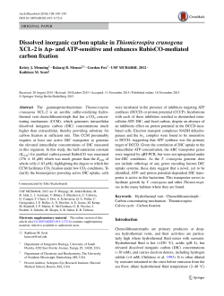 Dissolved inorganic carbon uptake in Thiomicrospira crunogena