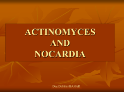 NOCARDIA AND ACTINIMYCES