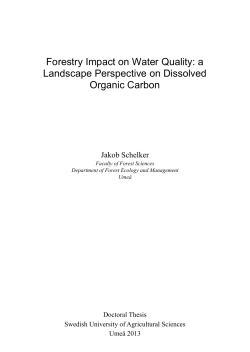 a Landscape Perspective on Dissolved Organic Carbon