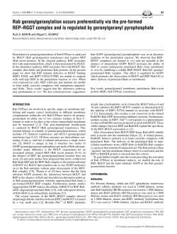 Rab geranylgeranylation occurs preferentially via the pre