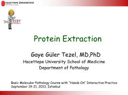 Protein Extraction