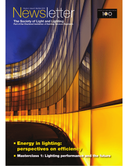 Energy in lighting: perspectives on efficiency