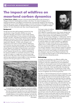 The impact of wildfires on moorland carbon dynamics