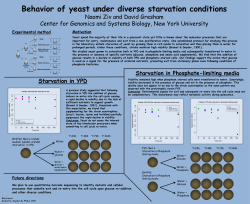 Behavior of yeast under diverse starvation conditions