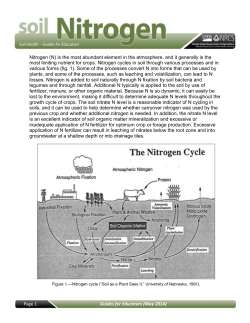 Inherent Factors Affecting Soil Nitrogen
