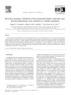 Brownian dynamics simulation of the unsaturated lipidic molecules