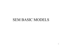 SEM MODELS