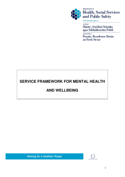 Service Framework for Mental Health and Wellbeing
