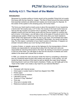 Activity 4.3.1: The Heart of the Matter Introduction