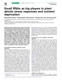 Small RNAs as big players in plant abiotic stress responses and