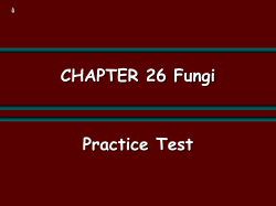 Financial Performance