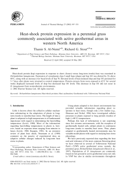 Heat-shock protein expression in a perennial grass commonly