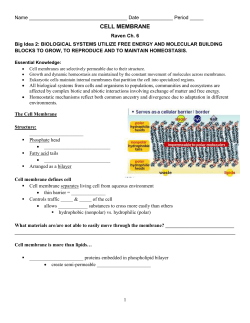 Cell Membrane Notesheet