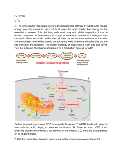 Cellular respiration produces CO2 as a metabolic waste