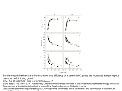 Bundle-sheath leakiness and intrinsic water use efficiency of a