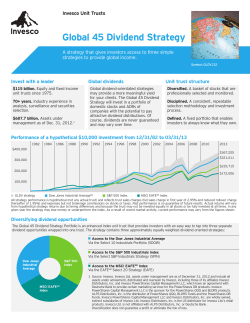 Global 45 Dividend Strategy Portfolio