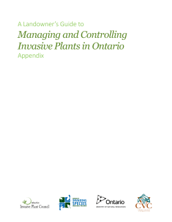 Managing and Controlling Invasive Plants in Ontario