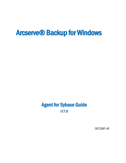 Agent for Sybase Guide