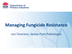 PowerPoint presentation template - white