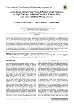 Greenhouse Tomato Growth and Physiological Responses to High